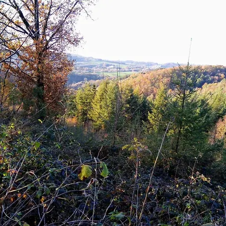 홈스테이 Votre Horizon *