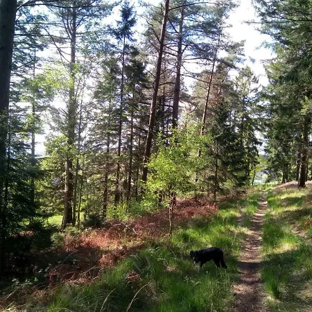 홈스테이 Votre Horizon 아이웨일