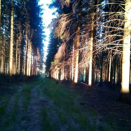 Pansiyon Votre Horizon Aywaille